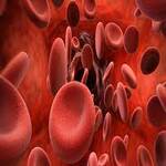 Hematology & Blood Specialist