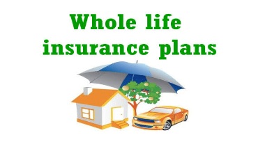 How long does it take for whole life insurance to build cash value