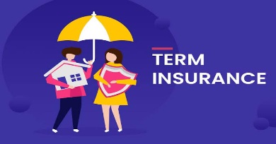 What happens to a term life insurance policy at the end of the term