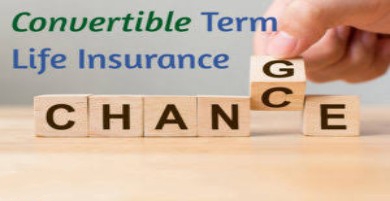 What are the benefits of a convertible and renewable term life insurance policy